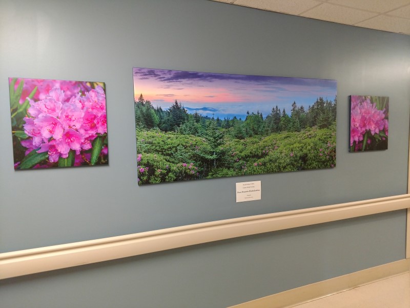 The Print Haus, Inc. · Canvas Prints Fabric Banners